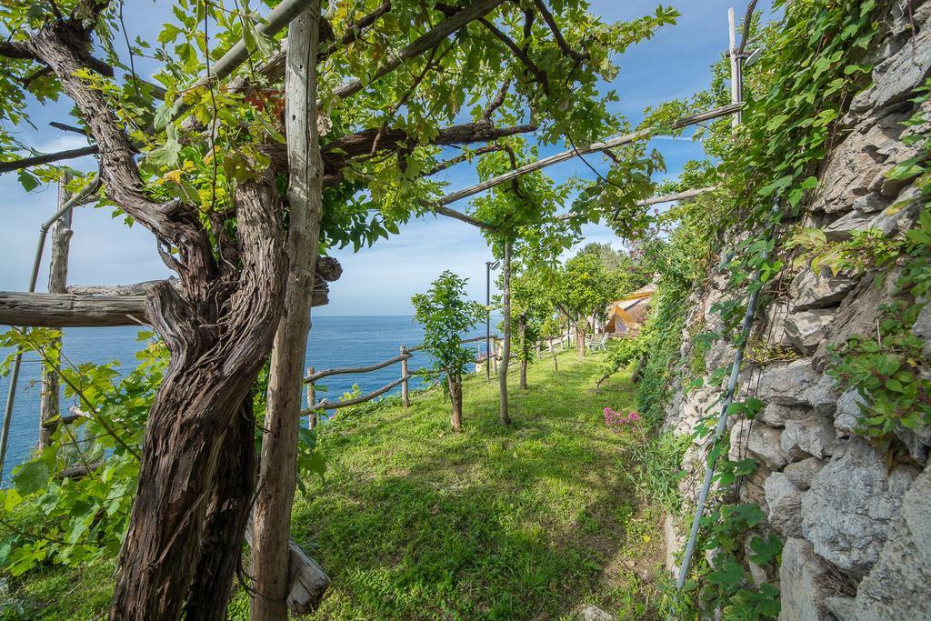 Cannaverde - Amalfi Coast Camp Βίλα Maiori Εξωτερικό φωτογραφία